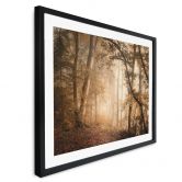 Poster Wald im morgendlichen Nebel - Maier 