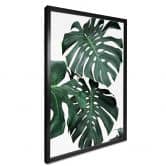 Plakat - Sisi & Seb - Monstera 