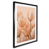 Poster Pfirsichfarbene Tulpen - Treechild 
