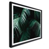 Poster Botanique tropicale 