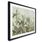 Poster Tropische plantkunde - UN Designs 