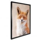Poster van Duijn - Zufriedener Fuchs 