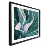 Poster Wechsler - Agave in de Ochtend 