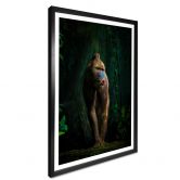 Poster Yunta - Im Dschungel 