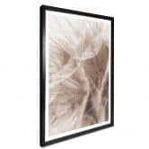 Poster Zarte Pusteblume 