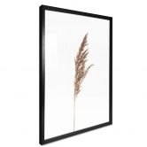 Poster Ziergras No. 1 