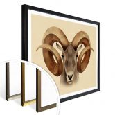 Poster Braun - Urial 