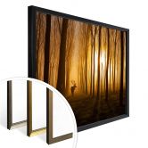 Poster Norim - Beauté des bois 