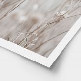 Poster Fleurs séchées dans des tons doux - Annie 