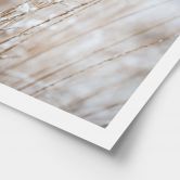 Poster Zarte Gräser im Schnee - Böhmer 