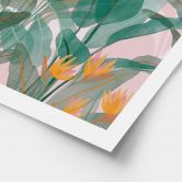 Poster Botanische Illustration in Grün und Rosa - Goed Blauw 