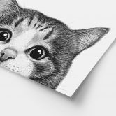 Poster Nieuwsgierige kat - Korenkova 