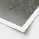 Poster Farn im Nebelwald in Grün - Ms Tiff 