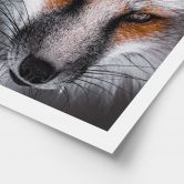 Poster Tierporträt Rotfuchs - Nagi 