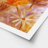 Poster Goldener Blütenrausch - Pomata 