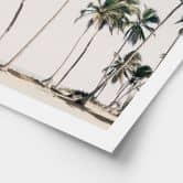 Poster Palmiers tropicaux sur la plage | L'ambiance des îles en été - Sisi & Seb 
