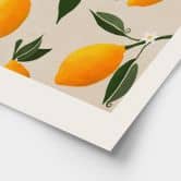 Plakat Frugt - Boho citrontræ - Citrus Limonum - Tunaboylu 