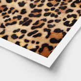 Plakat Vild leopard - Dyreprint - Tunaboylu 