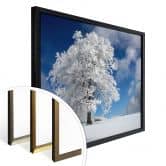 Poster Schumacher - White Winter Tree 