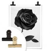 Poster Ireland - Fabric Rose - Stoffrose 