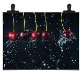 Poster Belenko - Newtons Cradle 