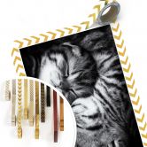 Poster Jancova - Sweet Kitten 