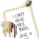 Poster I can\'t have nice Things - Dog 