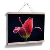 Poster Grønkjær - First Tulip 