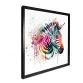 Poster Heine - Rainbow Zebra vierkant 