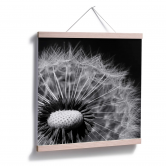 Poster Paardebloem 