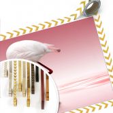 Poster Reindl - Pink Flamingo 