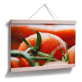 Poster Fresh Tomato 