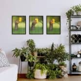 Poster van Duijn - Erdhörnchen riecht an Blume 
