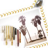 Poster Palm Trees 