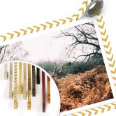 Poster Im Wald 