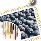 Poster Heidelbeeren 