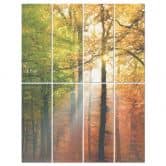 Raumteiler, Paravent, Sichtschutz hängend Goldener Herbst Wald 