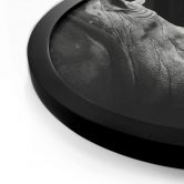 Plakat Meermann - Rhino 