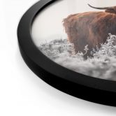 Poster van den Helm - Highlander - Rund 
