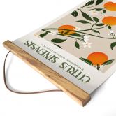 Stoffbild Boho Orangenbaum - Citrus Sinensis - Tunaboylu 