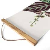 Stoffbild Blatt Illustration - Bignonia Argyro Violascea - Panorama 