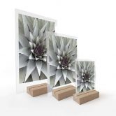 Tischaufsteller Agave 01 