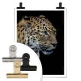 Poster Dambreville - Neugieriger Jaguar 