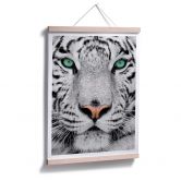 Poster Gorgeous Sumatran Tiger 