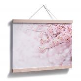 Poster Zarte Kirschblüten 