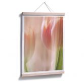Poster Westum - Shy tulips 