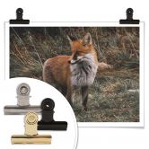 Poster - Fuchs 02 