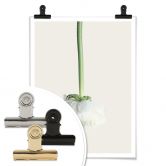 Poster Ranunkel 02 