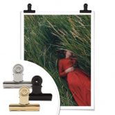 Poster Barantseva - In der Wiese 