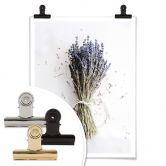 Poster Das Bündel Lavendel 